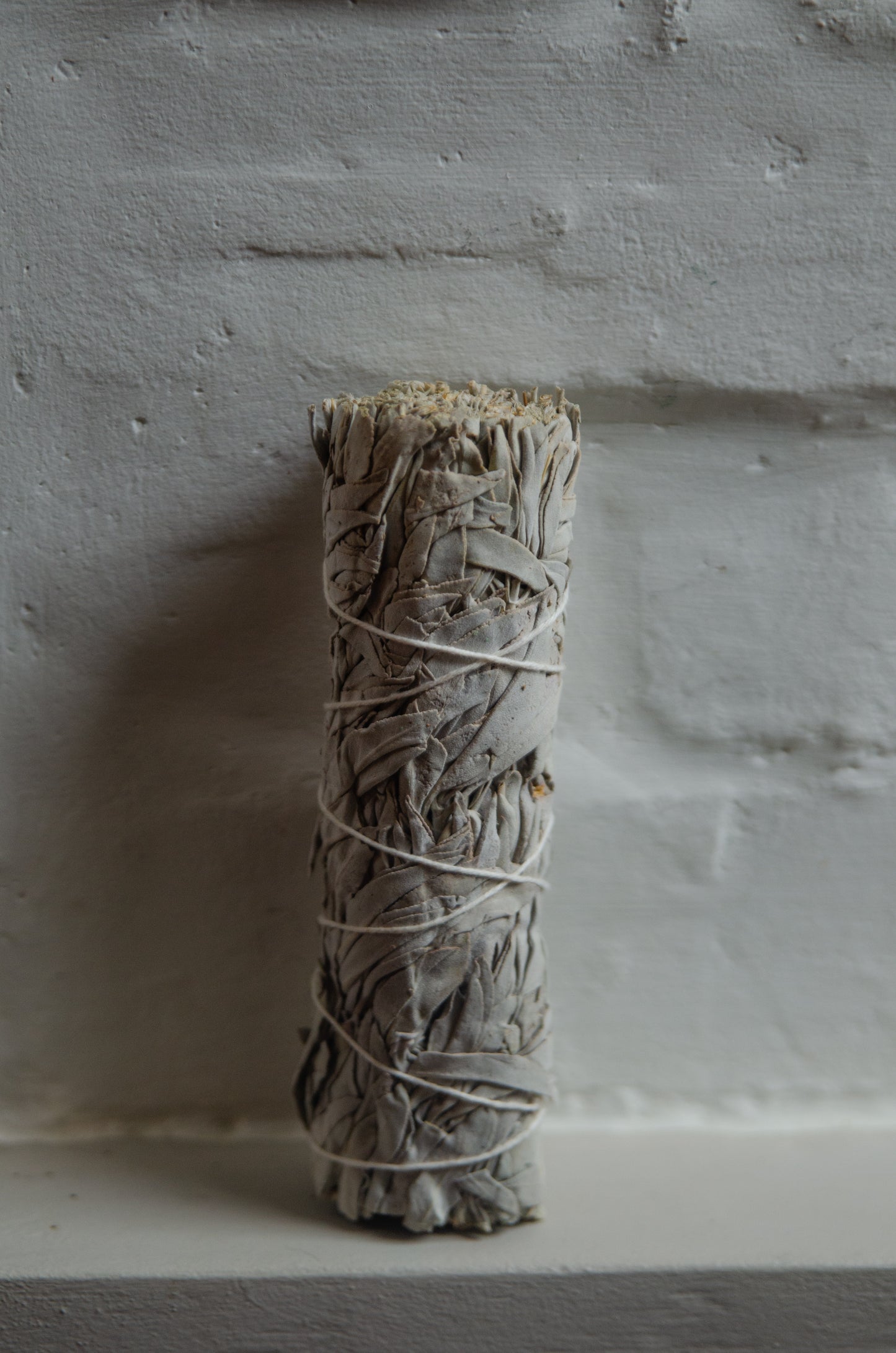 White Sage Smudge Stick