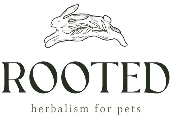 Rooted Herbal Pets